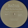Gary Numan 2020 When The Sky Came Down Moonphase Vinyl